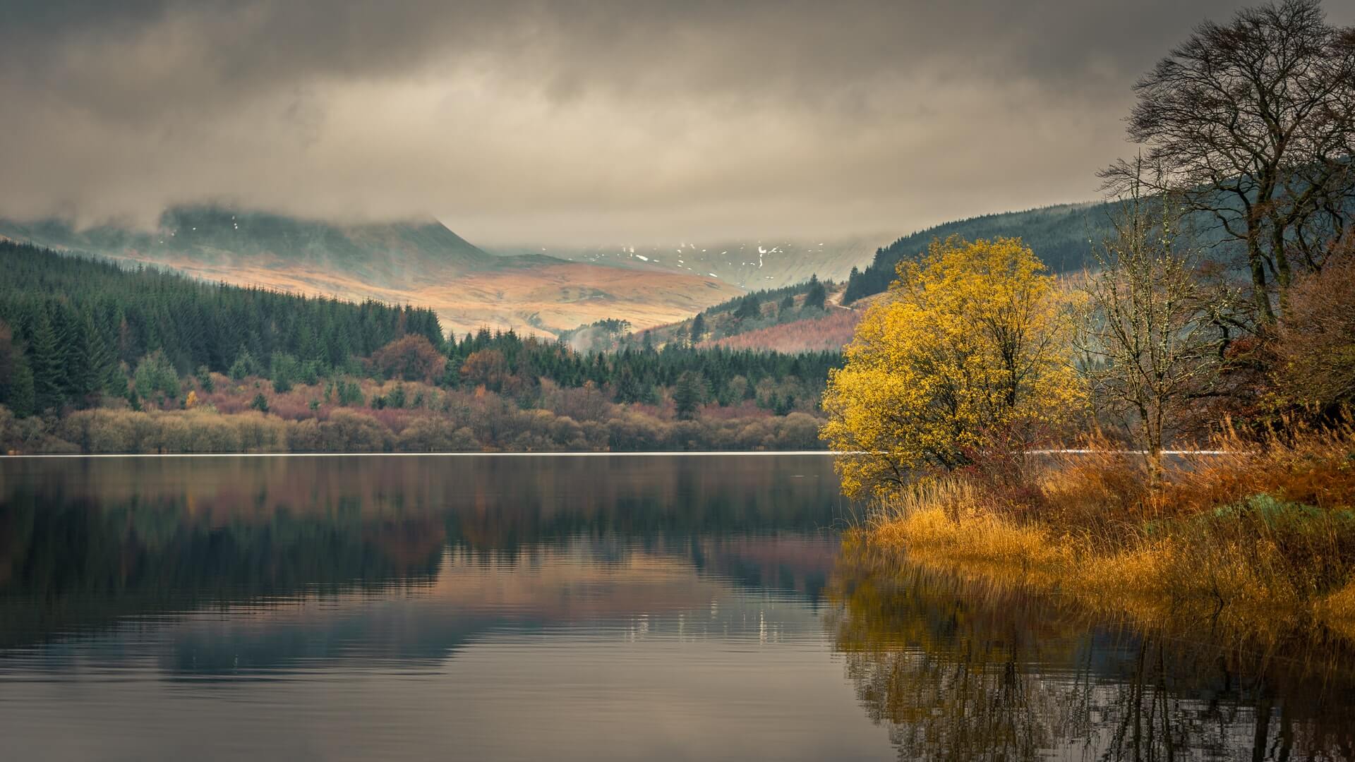Lake and forest in the Brecon Beacons 